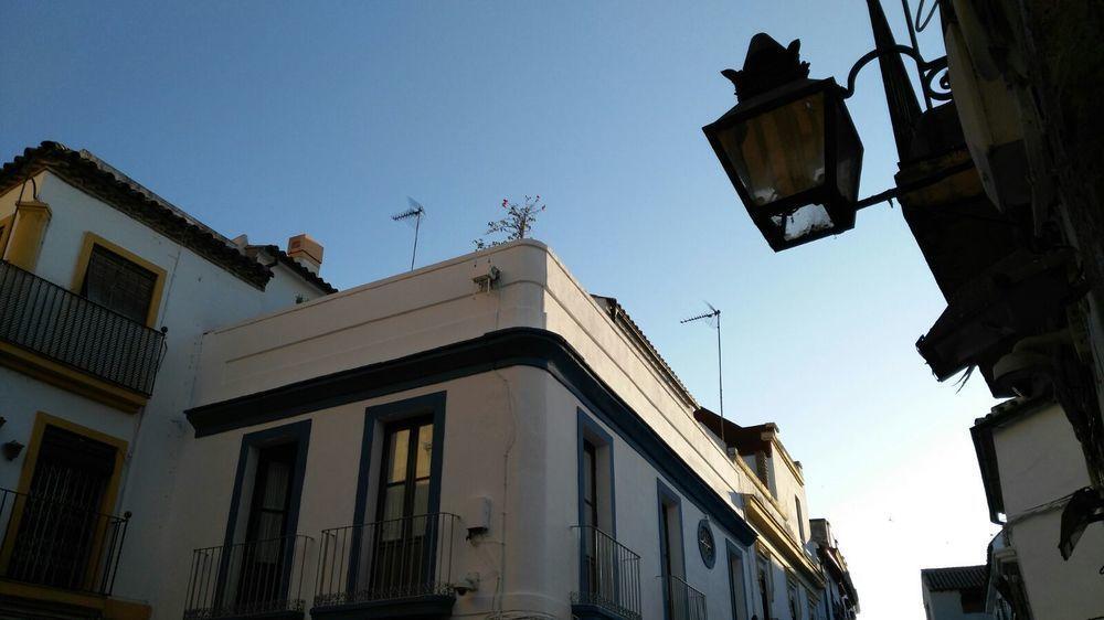 Hostal Azahar Cordova Esterno foto